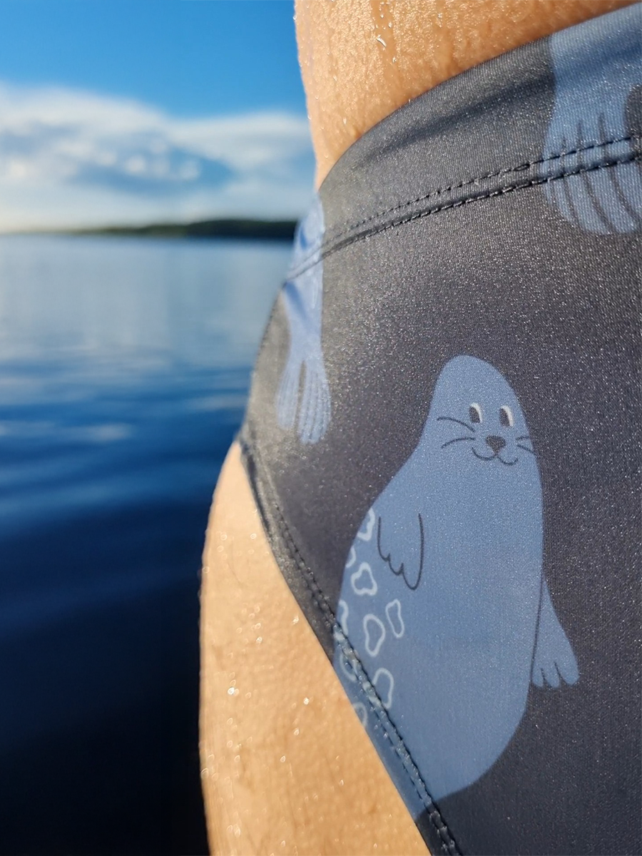 Saimaa Seal